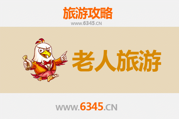 保定高碑店银发之旅：慢游古城，乐享悠闲时光